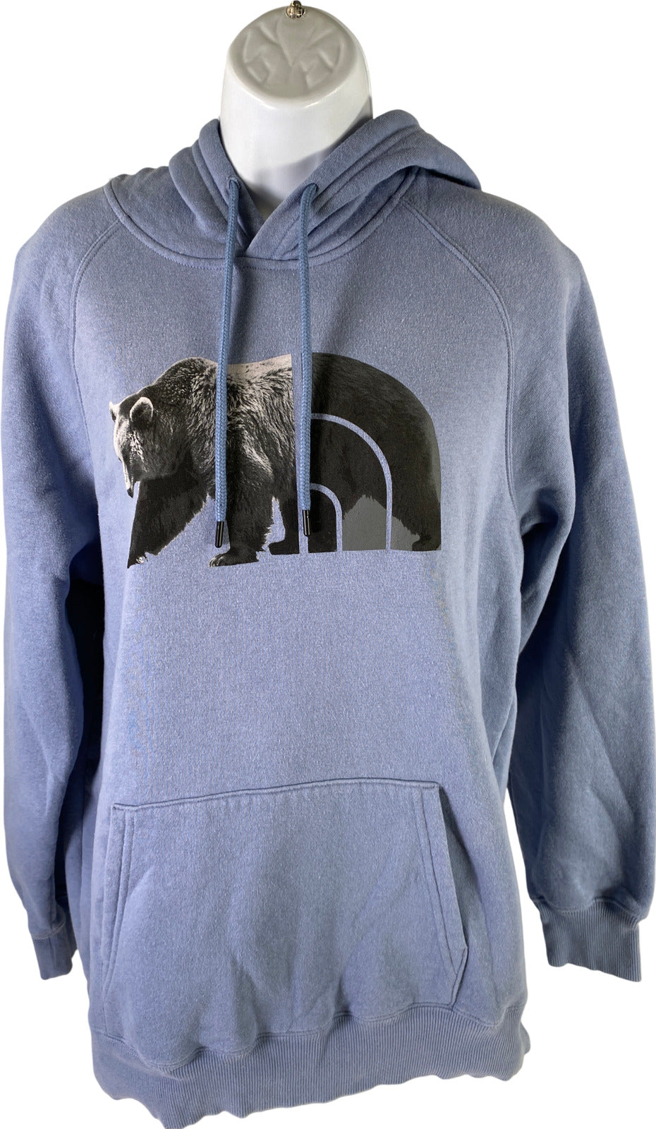 The North Face Women’s Blue Long Sleeve Bear Graphic Pullover Hoodie - L